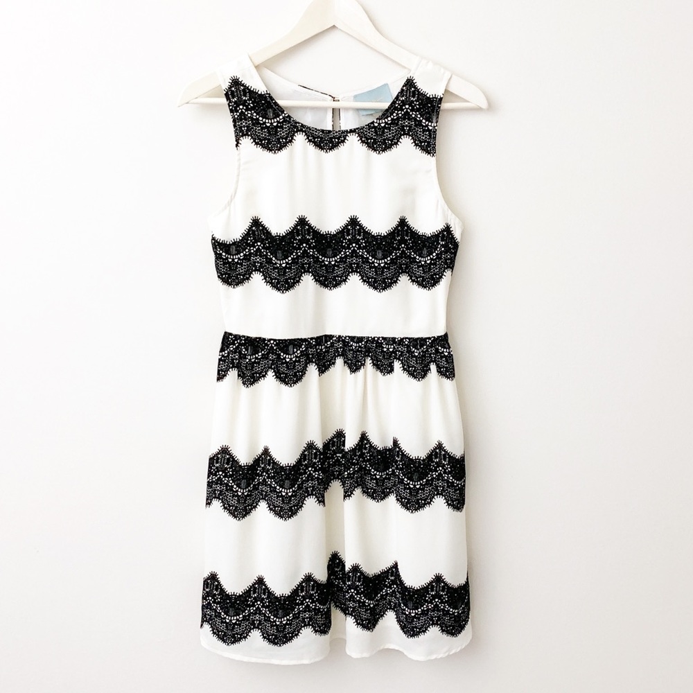 Lace Embroidered Fit and Flare Dress